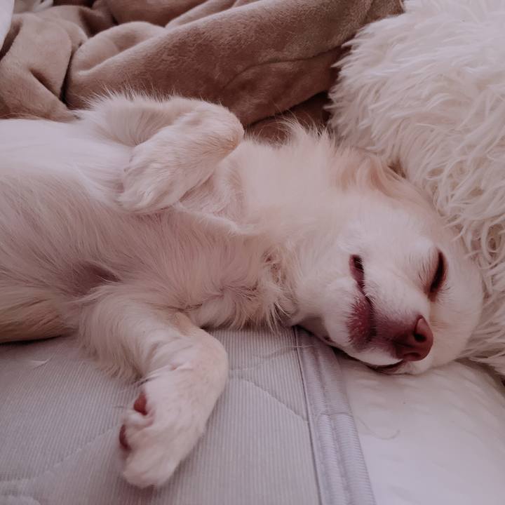 18596bbe d1e7 4249 8eab 671cd0d932f2 1682653944007