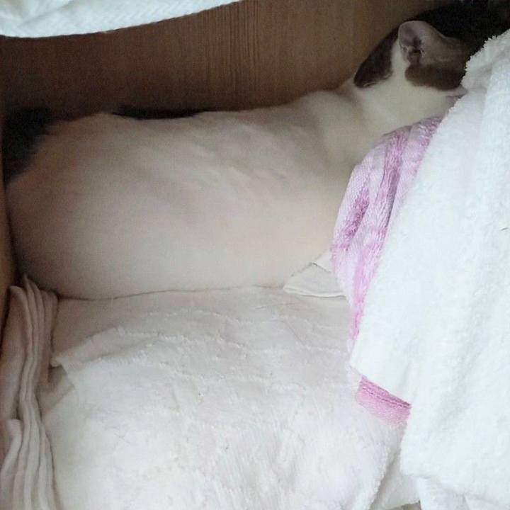 18597d88 8720 4418 a500 c5fdec4a34ef 1725263643784