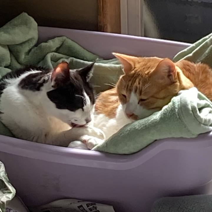 18598088 3147 4380 a7ff 22b02c8bb354 1644392314287