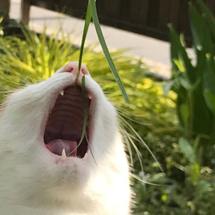 1859826a c60c 4017 947c f7b1482db681 1525434190075