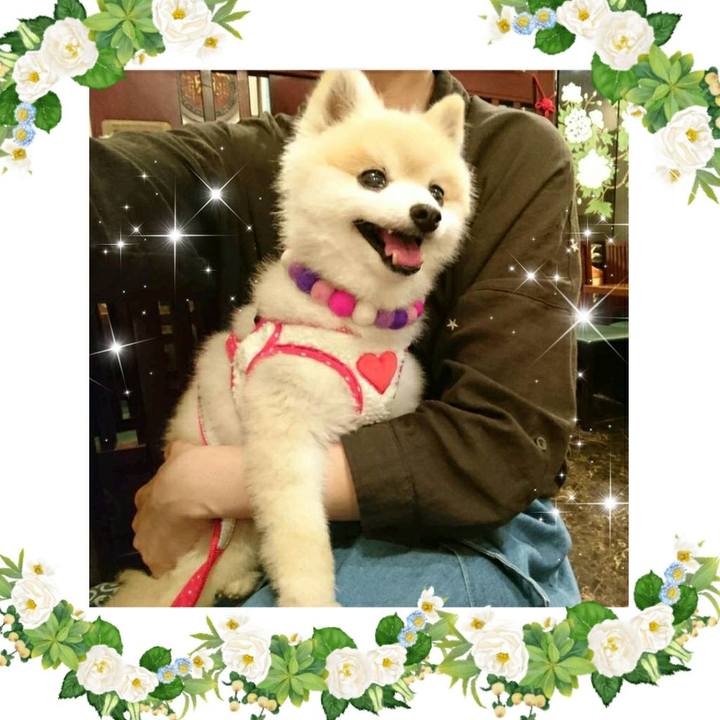 1859b338 3be3 4c2f 83e7 bb4a65576087 1554587588044