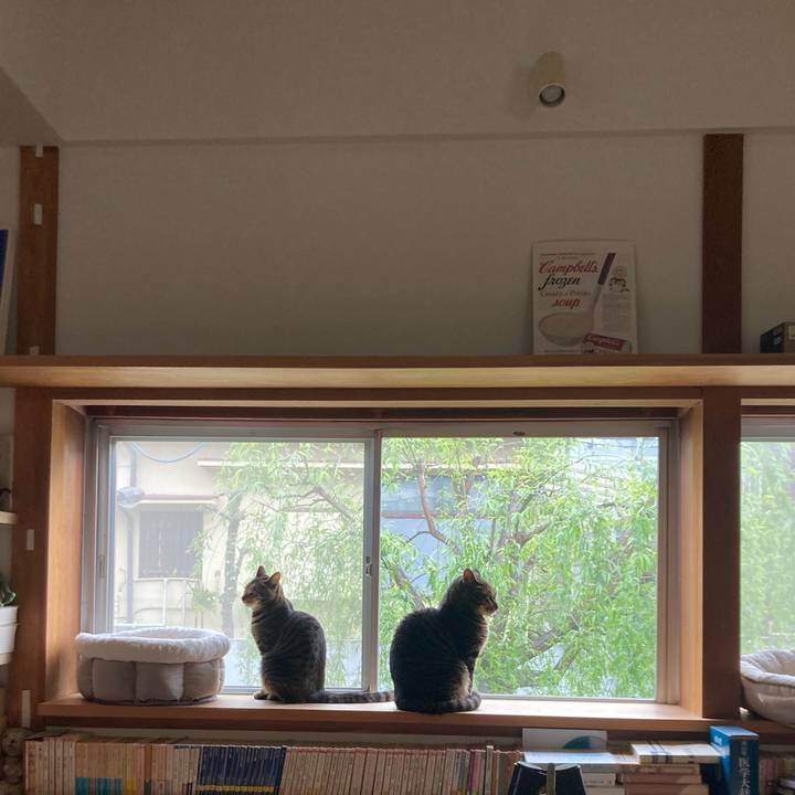 1859bfaa 96f8 4612 9c81 c31790673960 1713047095225