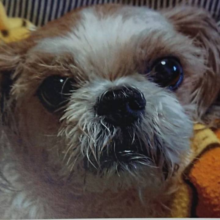 1859c1b2 a60d 4555 b9c8 17dbe7a59da0 1661832688207