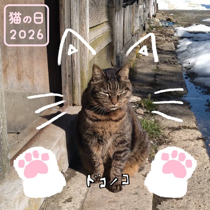 1859d02b 5145 4304 9143 0b3b9ac69a66 1771739101427