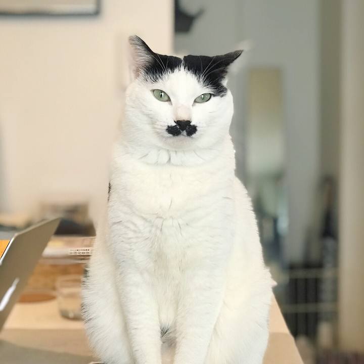 1859e6e0 16ce 437d 8876 864250d6ce8c 1519567796836