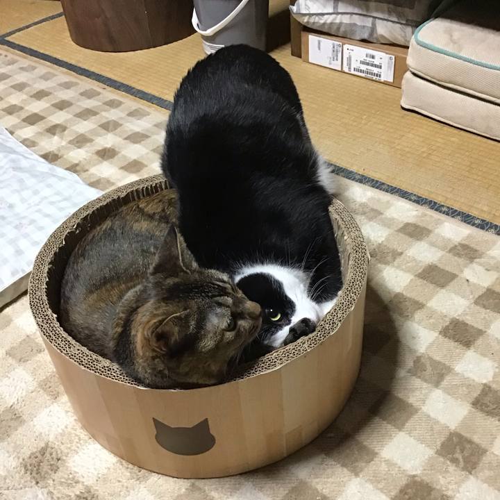 1859ef0d 0ab4 4c5e 989c 4b8a2ad7278a 1729417498959