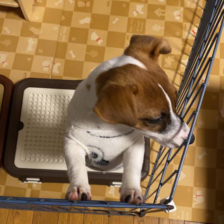 185a50d0 c825 488c b525 991232e3414b 1700127327905