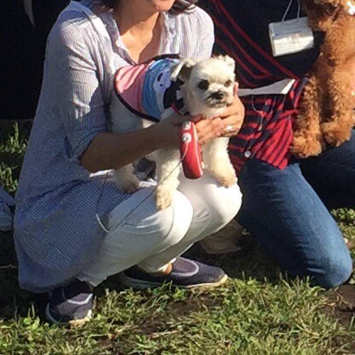 185a5600 b583 4eb1 94f8 9ff857aef714 1538816181389