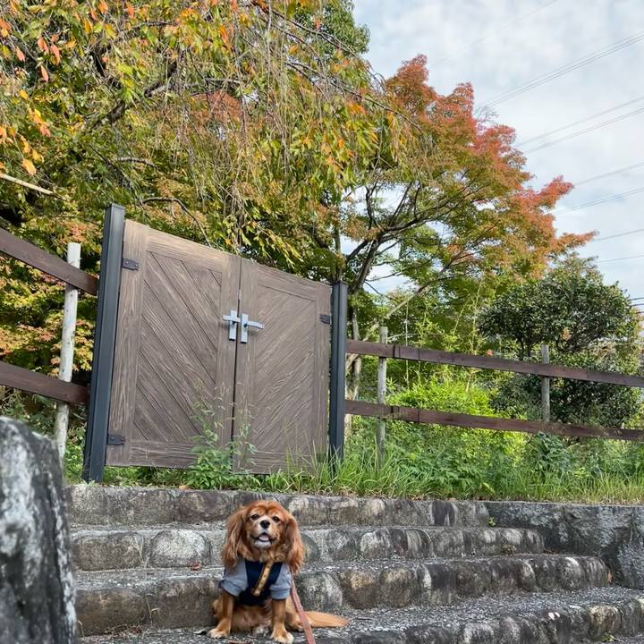 185a7ead d736 4ac3 8f87 f6dea64618f2 1667089759501