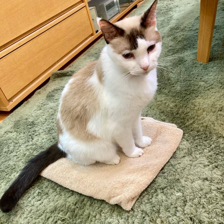 185a8a07 a5f6 4816 83ec 33d4fea51e8a 1634042213301