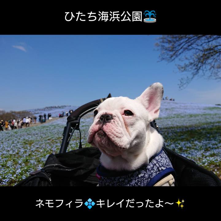 185a8a96 2b83 4e3b b289 75ed7d12e8ed 1650203188604