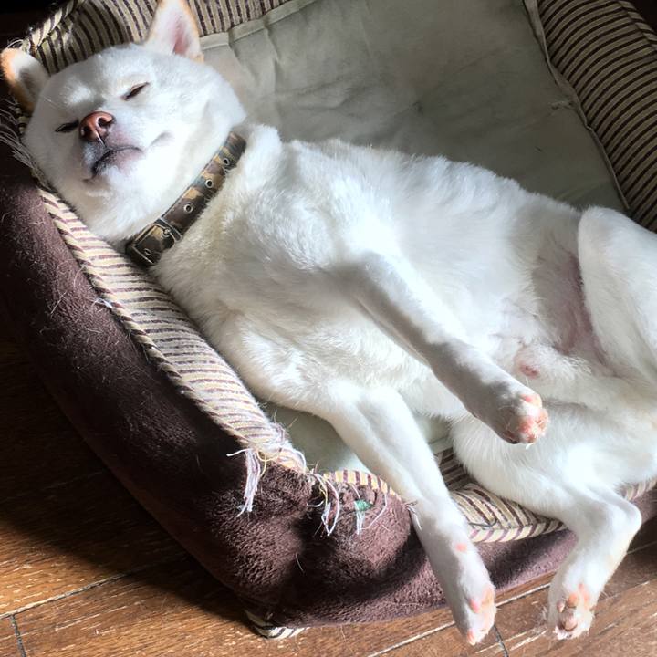 185a94eb 1cfa 48a6 904a 74620b1b36f1 1521873228377