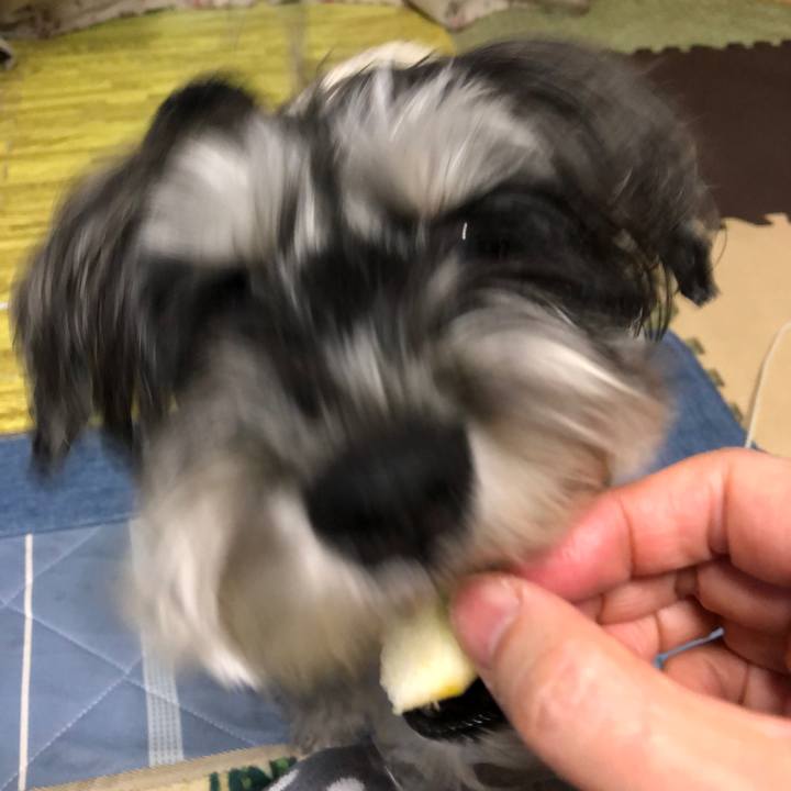 185adf2e d96b 48aa 817d 6733633314f0 1706452349074