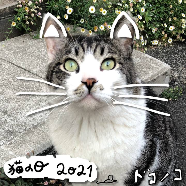 185ae35c ad03 4875 b57b a1a14772a8c1 1613987667476