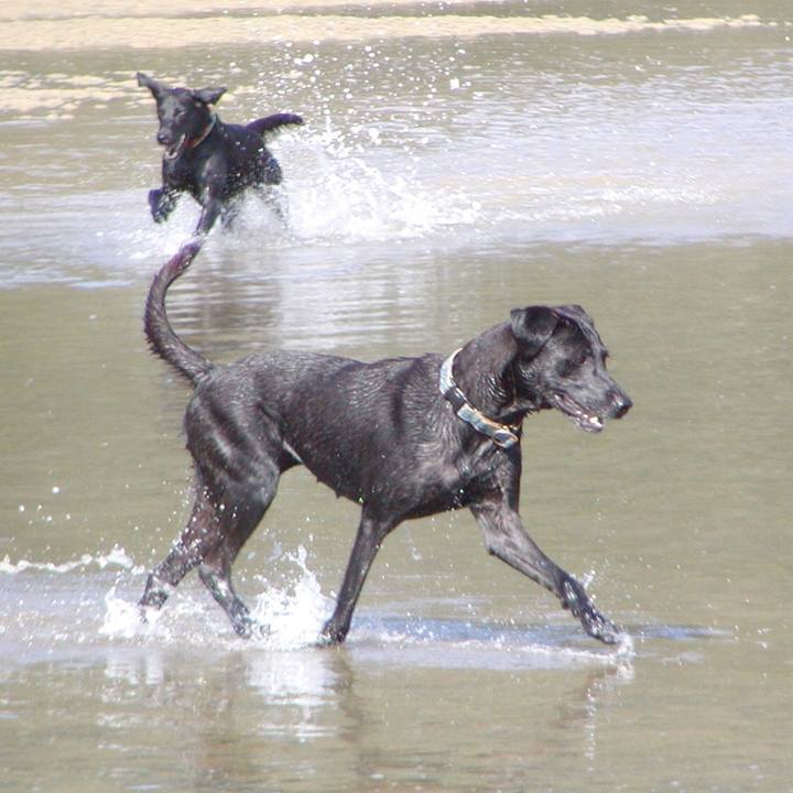 185b1c7b 5c18 4090 9bc6 b27ac4a5e48c 1522909012629