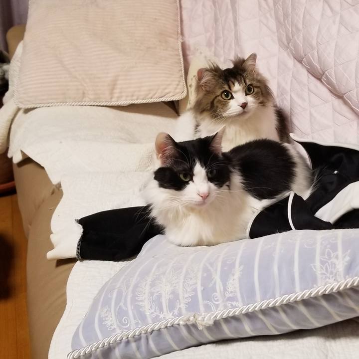 185b7712 6bbe 4d91 804e 93a8904d2b45 1555307173510