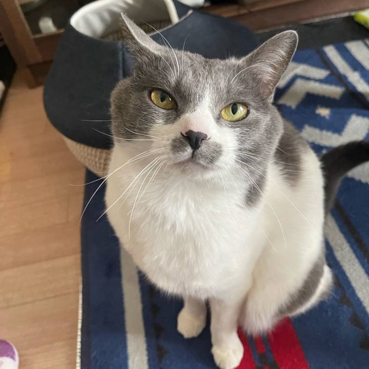 185c1423 8e9e 4d94 a0fe 0e599b7615b8 1680243694008