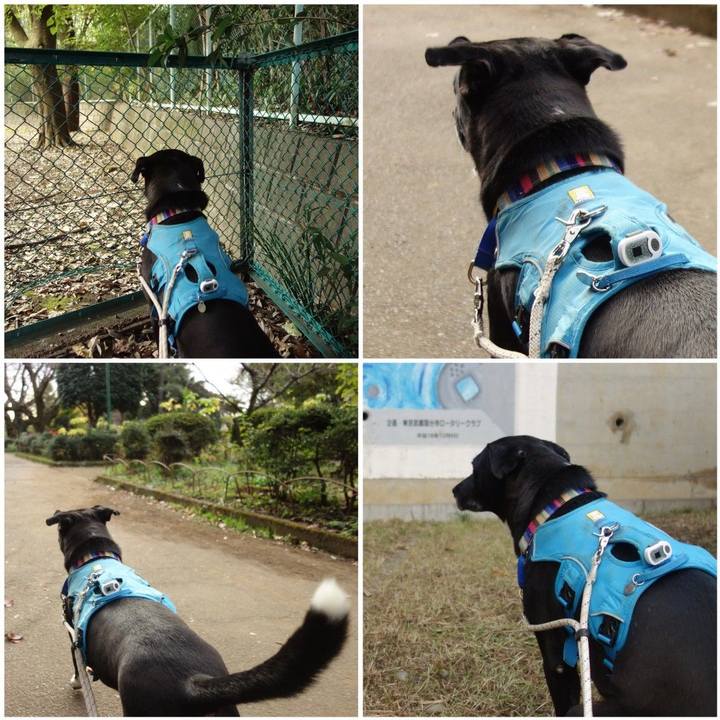 185c46b8 49f9 4019 8c37 5bd9083cc321 1637022079519