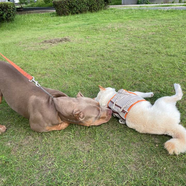 185c6e7b ae28 41cf b85a 7b89eff8abe7 1656505978461