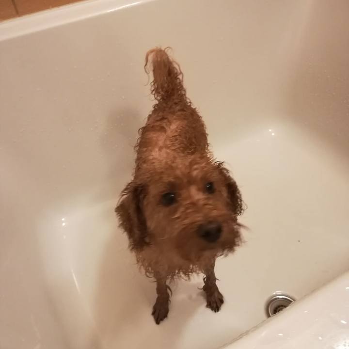 185c9654 3259 4ae4 9709 5ce809235b3a 1540419304875