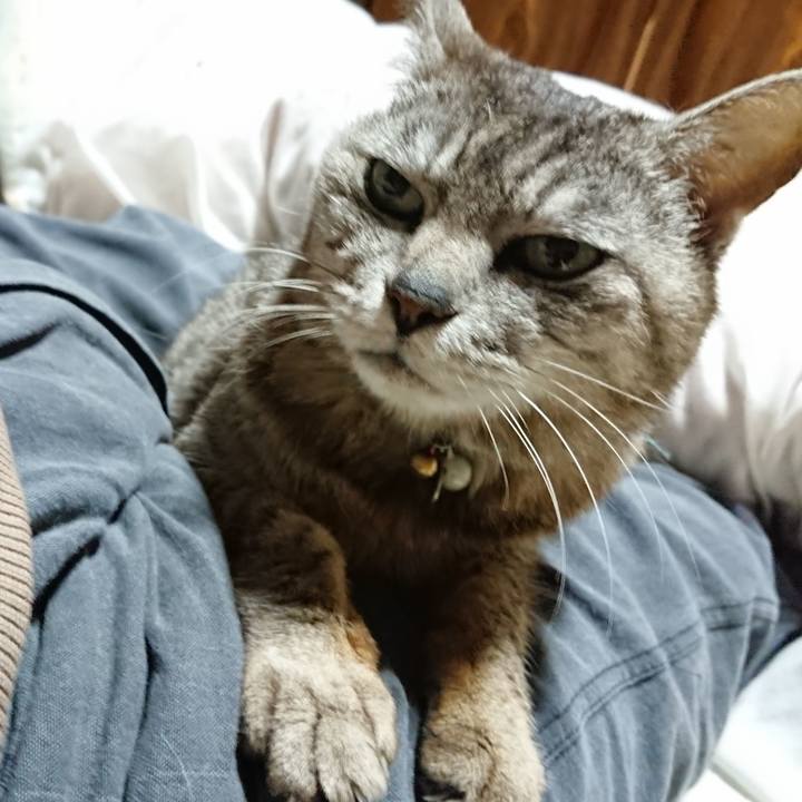 185cb9e4 3fb6 4283 9ef9 ffa6f4bd5720 1561813523722