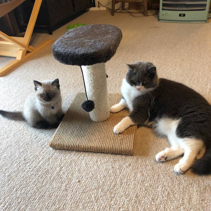 185cc4f8 c8b9 4a09 bc28 ba7173d86970 1585817847196