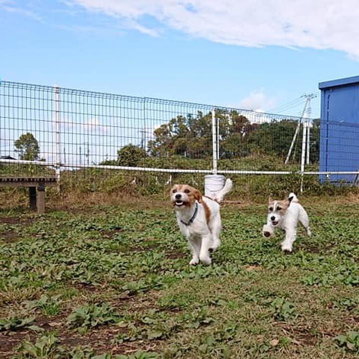 185ccae6 ba7d 4ad5 a931 2f88f1daeb8e 1574329062613