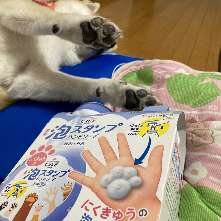 185ce82b e756 41e2 a913 336cdaa6b6cd 1627393242421