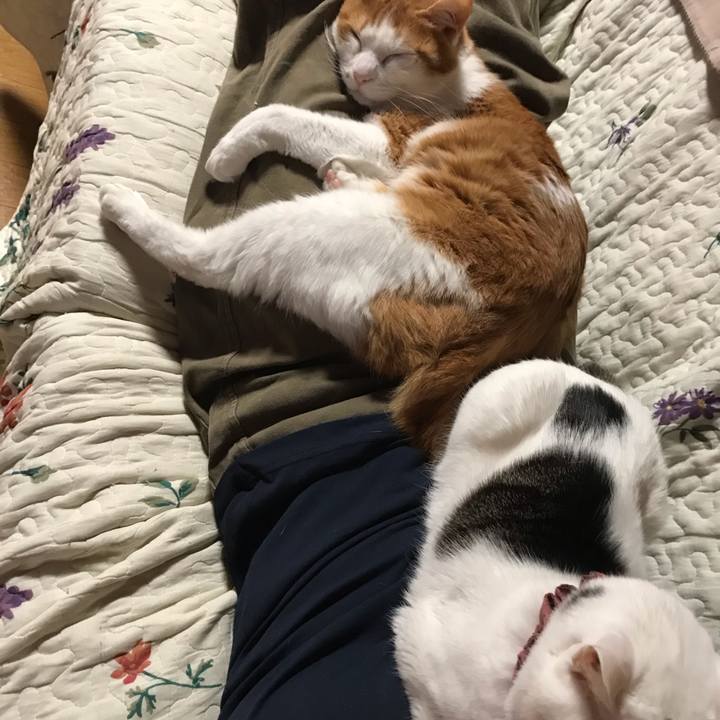 185cf43d 0a10 41e3 b696 fe2faf1b9fb5 1621954195215