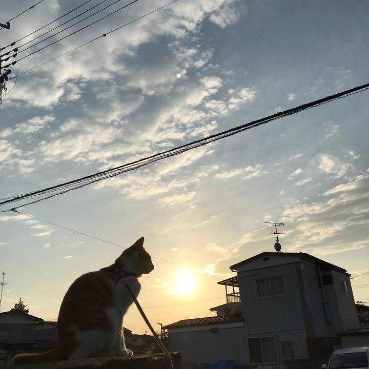 185d0de9 311a 4883 a579 f43017b8a6a1 1510226023603