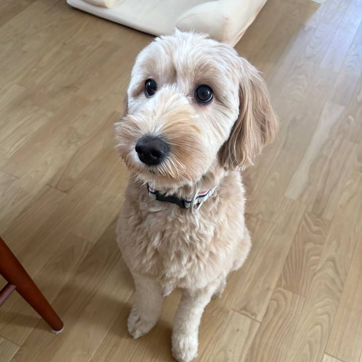 185d41ae b669 412f 9dd9 dfd2120683c2 1760665159422