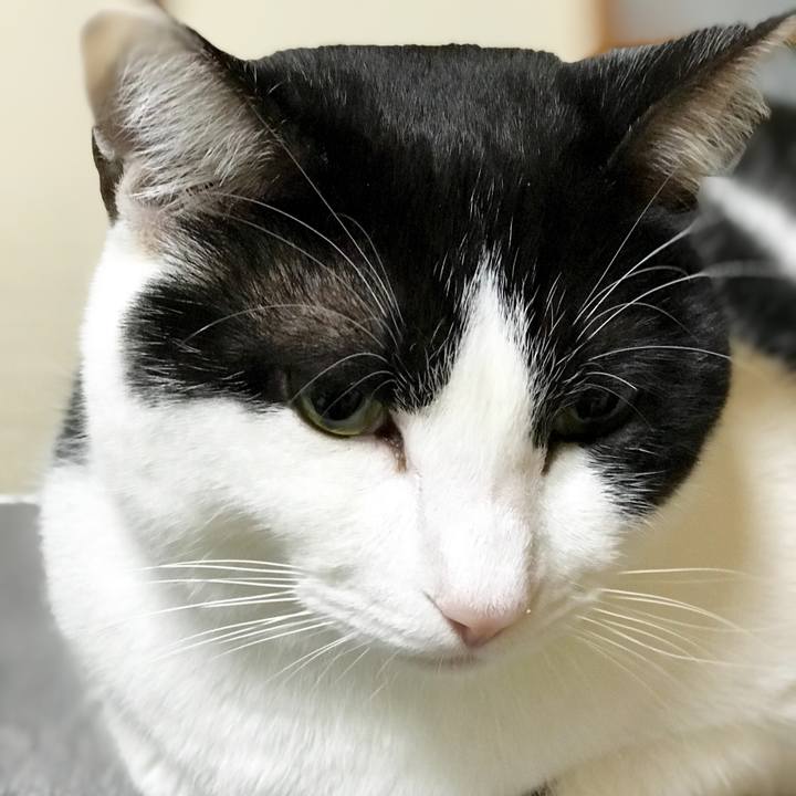 185d645a 4af6 414b 869b 9dfb60f77720 1518825855063