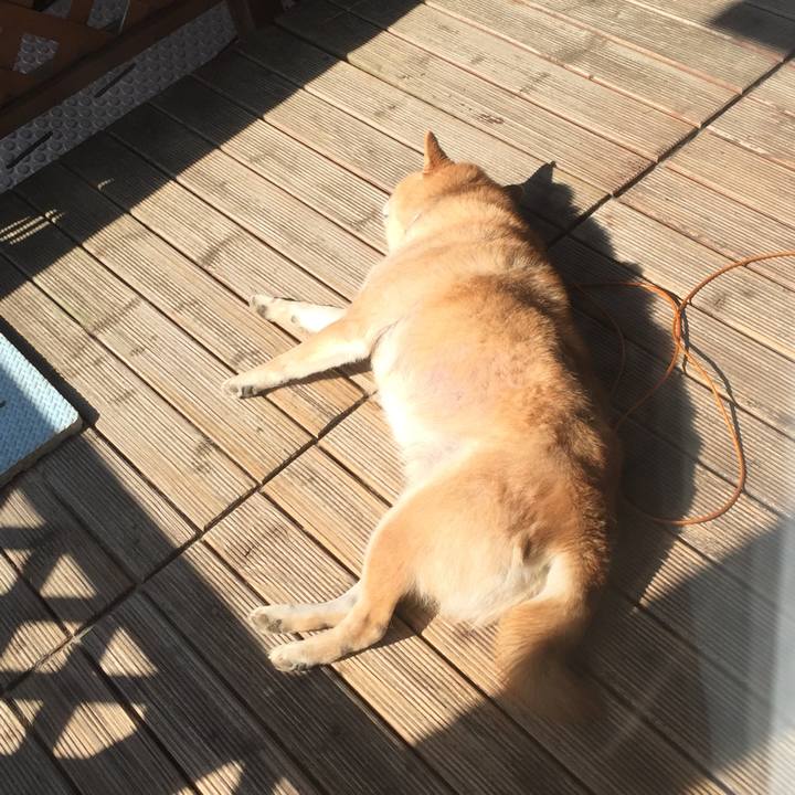 185d97d7 5d97 4370 9a57 da92a695e2fa 1522054035747