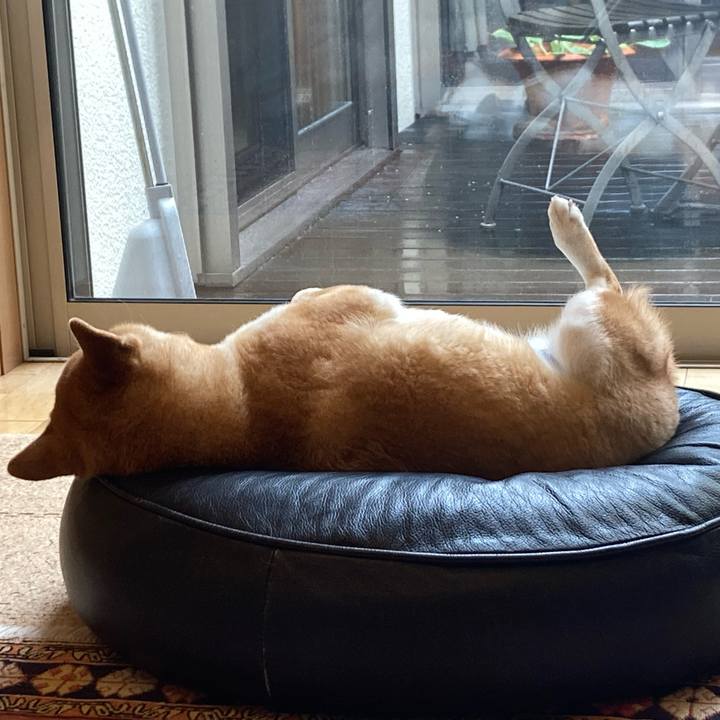 185dc851 a967 4ee4 940d 82ad21c37901 1746500139480