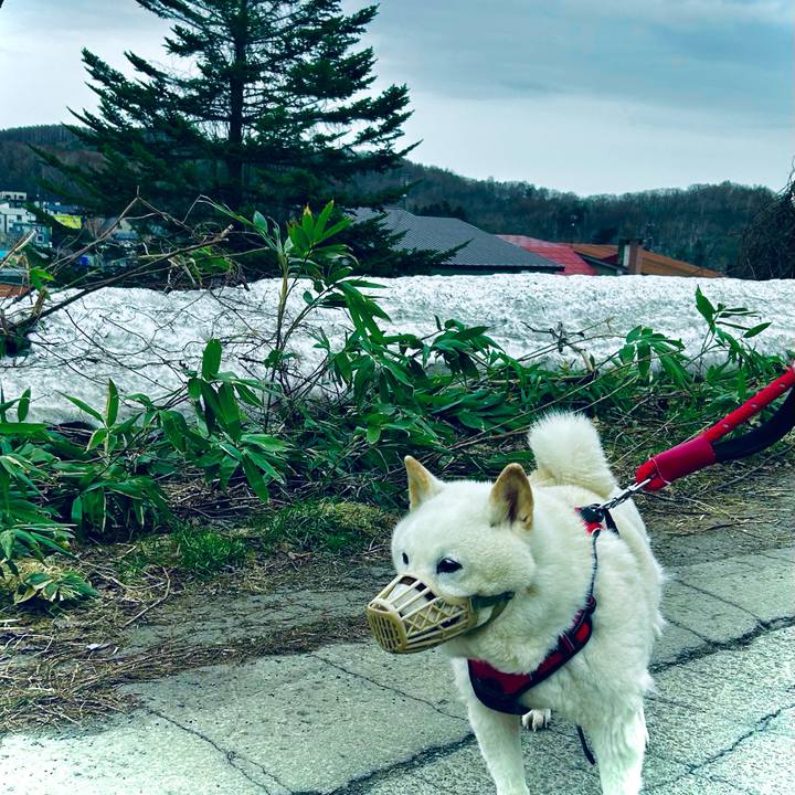 185defe0 cd32 4538 bcc7 8dcf3ce4f10b 1712612919764