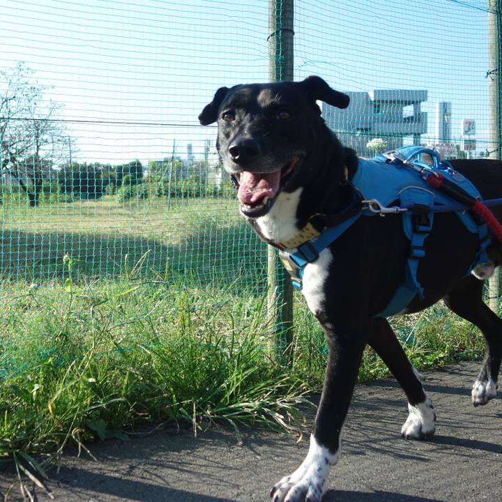 185e0daf 5ddb 413d 8bd6 081e9dd3da95 1632876396664