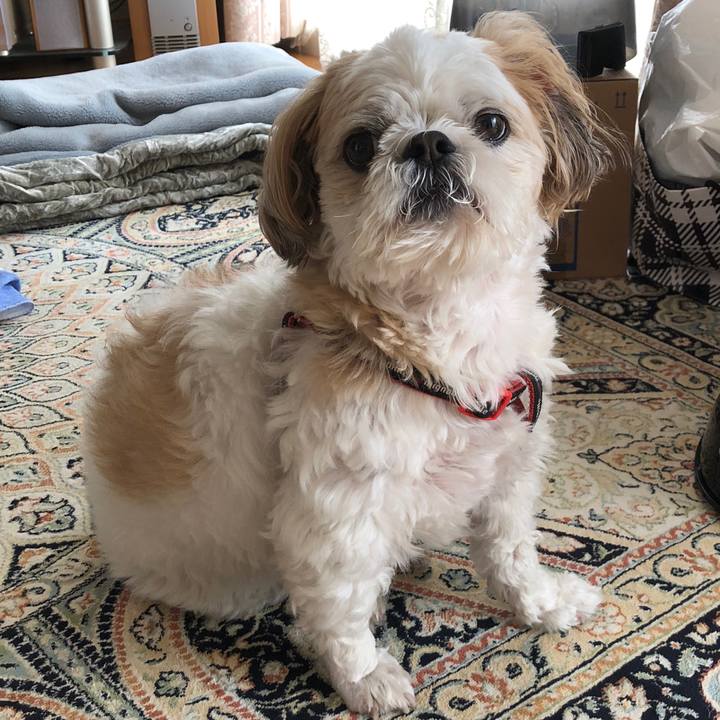 185e9520 a124 4a0d aa5b 246c4cfd827c 1563068387385