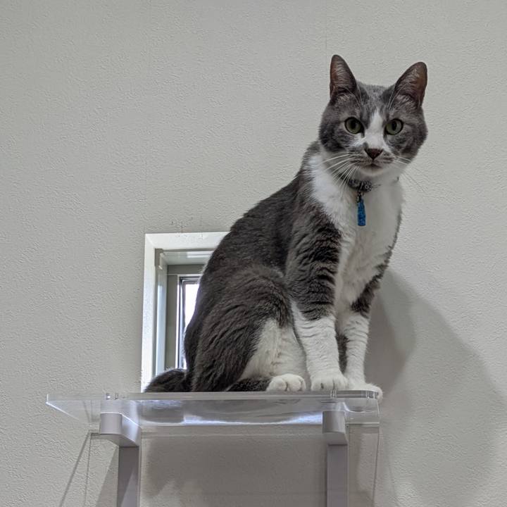 185e9ecb 2c23 45c6 8589 6720c895ea1d 1759660220711