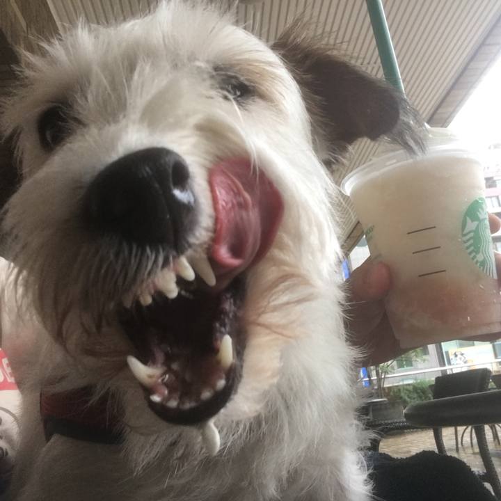 185e9ed0 34be 4380 ba3a d8932f796bfb 1628463383231