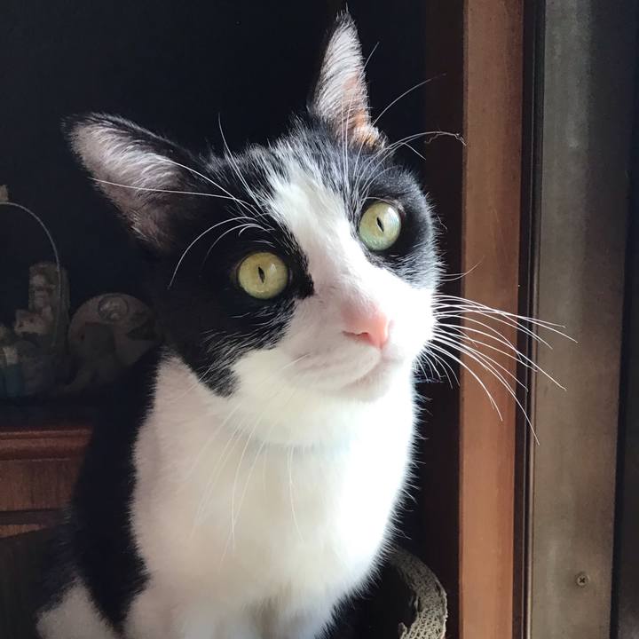 185eeab2 df19 4567 85ce dfdd60cef110 1760688610843