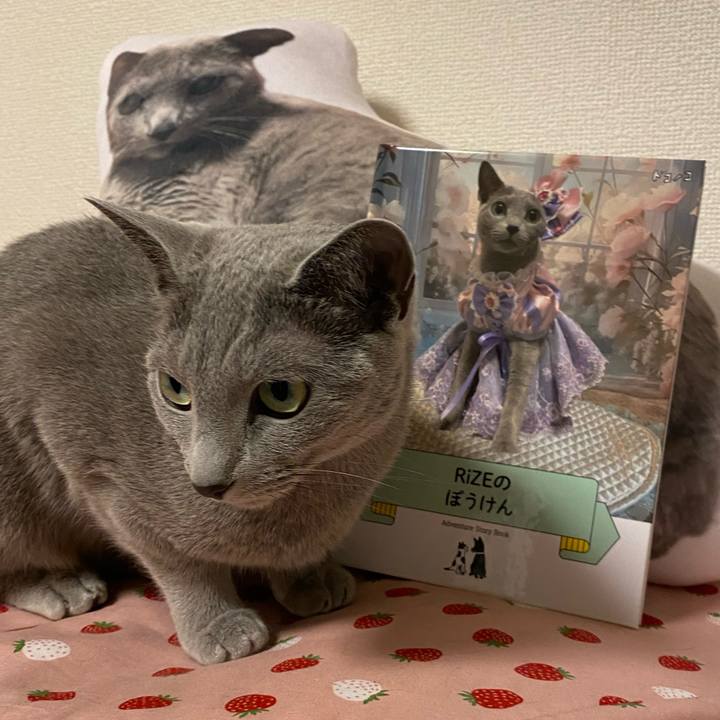 185f2c84 336b 4b33 9266 a68769ff77bc 1720271267693