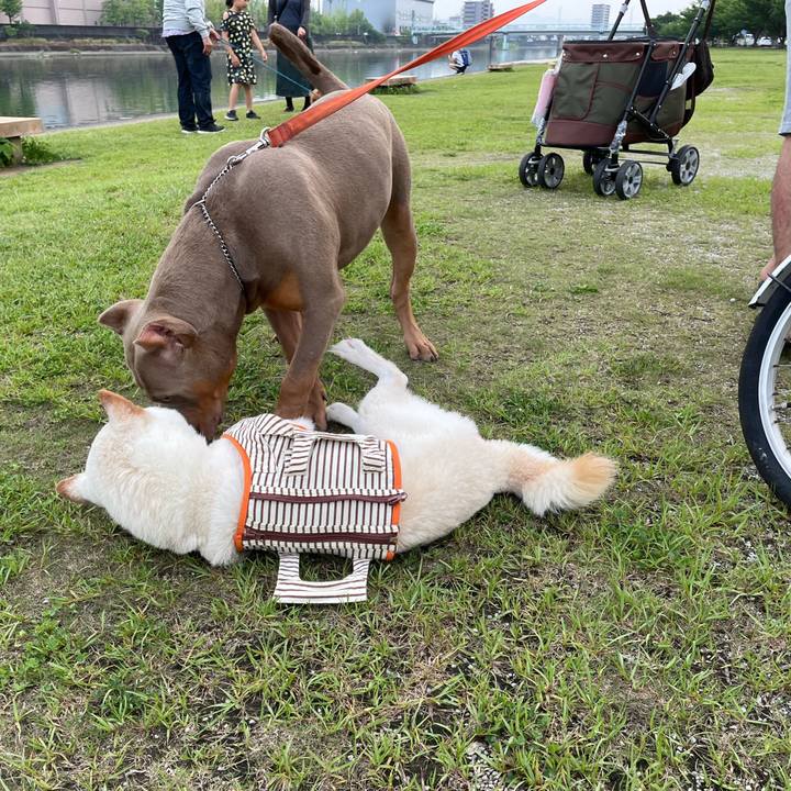 185f3c4d 9fb8 4b3b ad36 2f950973efa1 1655471874492