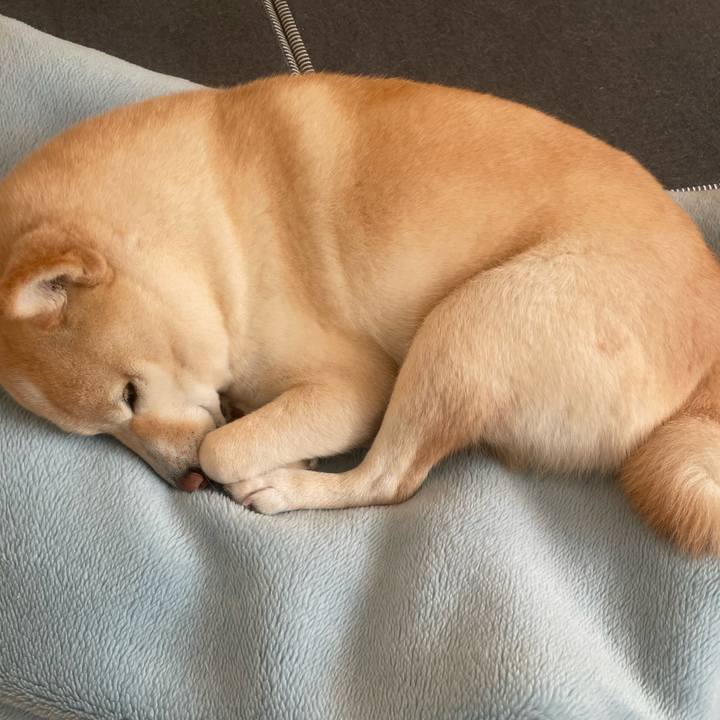 185f3e2a 3d53 4572 a2ea eef68816d4ef 1701904293707