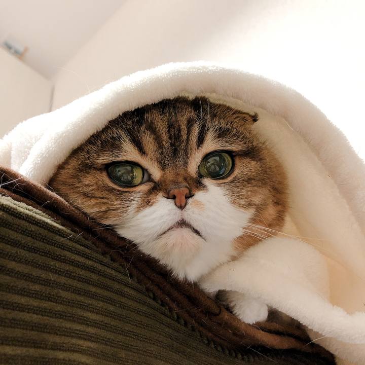 185fc3d6 e1a7 4c20 a79f ac6a4970272b 1555420132676