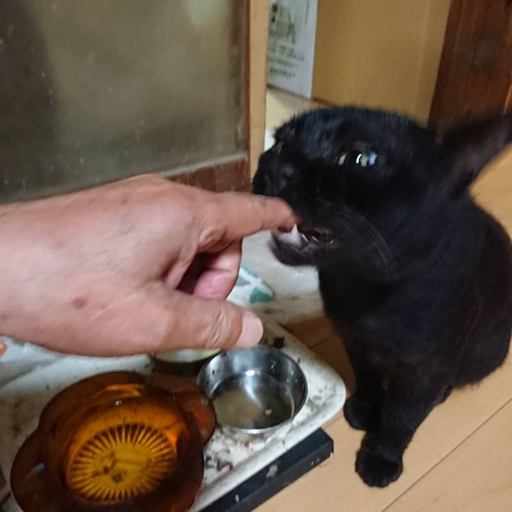 185ff02b 083c 4f3b 9f32 3c0e82f91d1d 1628249471926