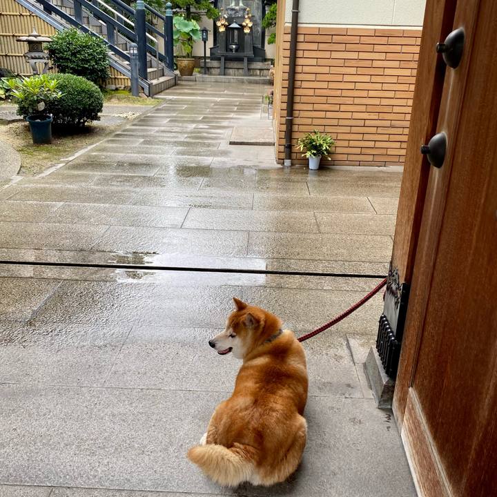 18601e34 1a7c 437f 880d e8f27a7fbece 1626309660597