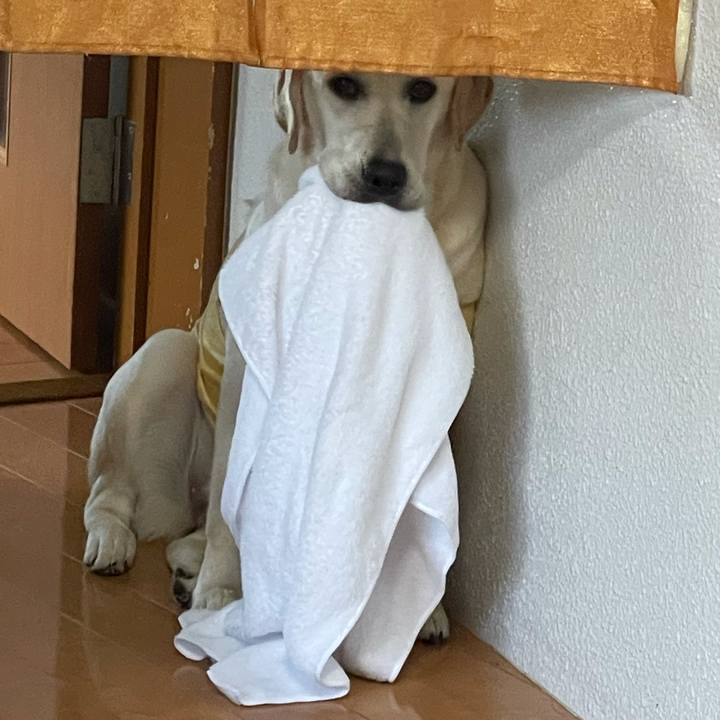 1860268c 55ca 4191 b7f2 7be3b8c5d380 1624873076565