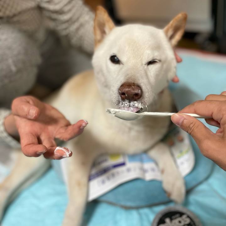 186048e4 afc0 4802 8958 175e3485abc1 1647759318878