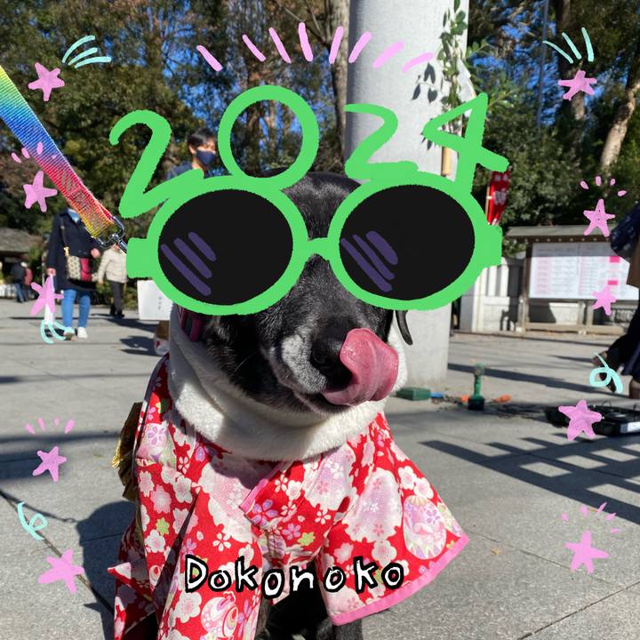 186082dd 4497 4490 9173 fcf64d88c7c8 1704342545594