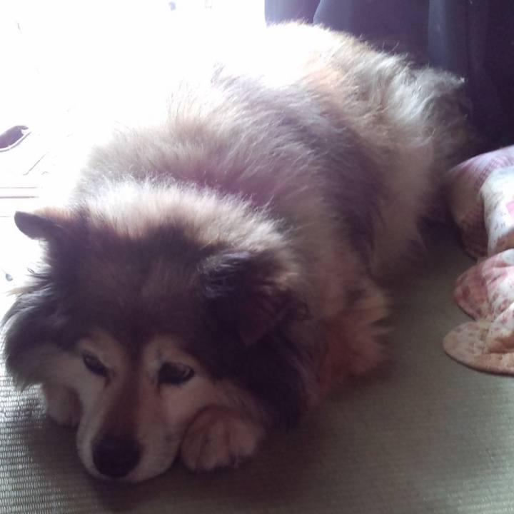 186084a4 cccd 4dbf a122 9ad78e9faa40 1601981317360